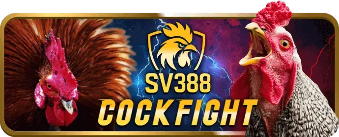 Bước 4: Rút tiền thắng cược từ 97win code